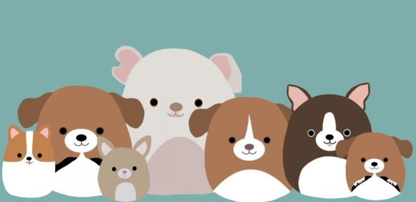 Waffles, Magnus, Zoey, Daisy, Molly, Sherlock, Chica Corgi, Beagle, Chihuahua, Pit, Beagle, Boston, Beagle @mallomaddie • (MAY 2022)